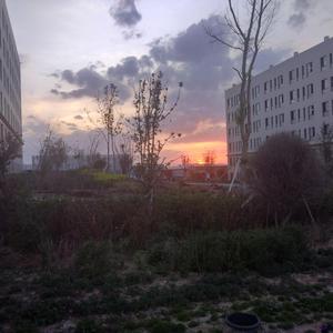 广东少妇和黑人做爱
